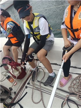 青岛青少年帆船培训